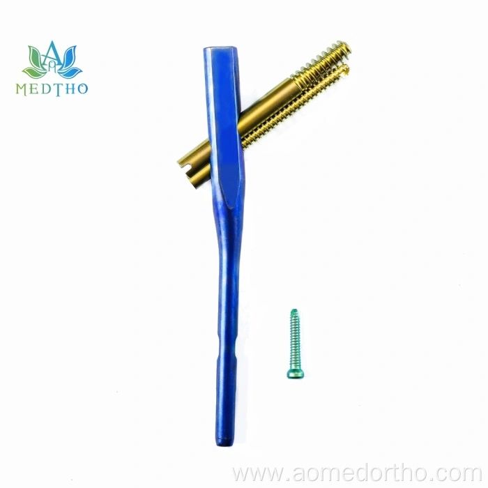 intertan nail